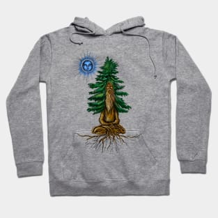 Sage of the Silent Pine and The Blue Star (Color) Hoodie